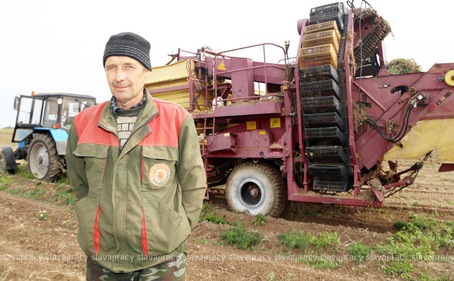     В сельхозпредприятиях Копыльщины продолжается уборка овощей