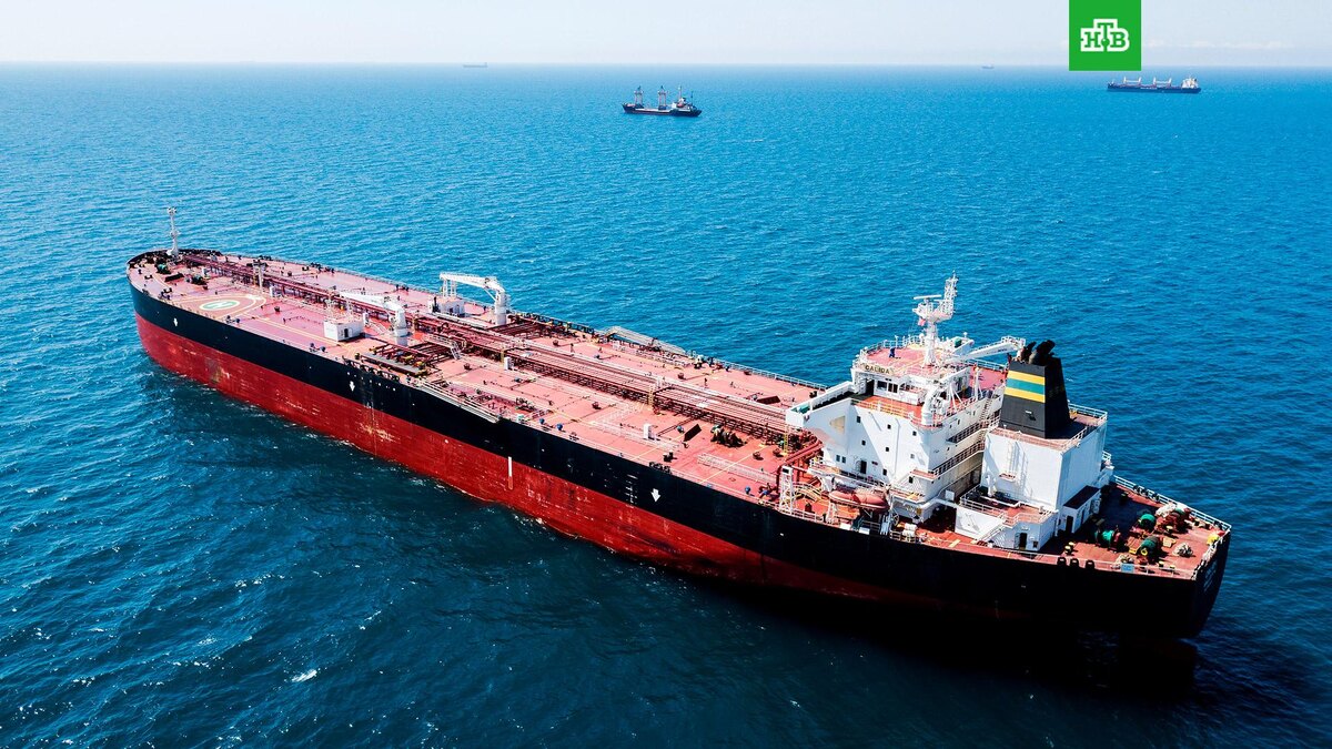    Фото: РИА Новости © 2024, Виталий Тимкив