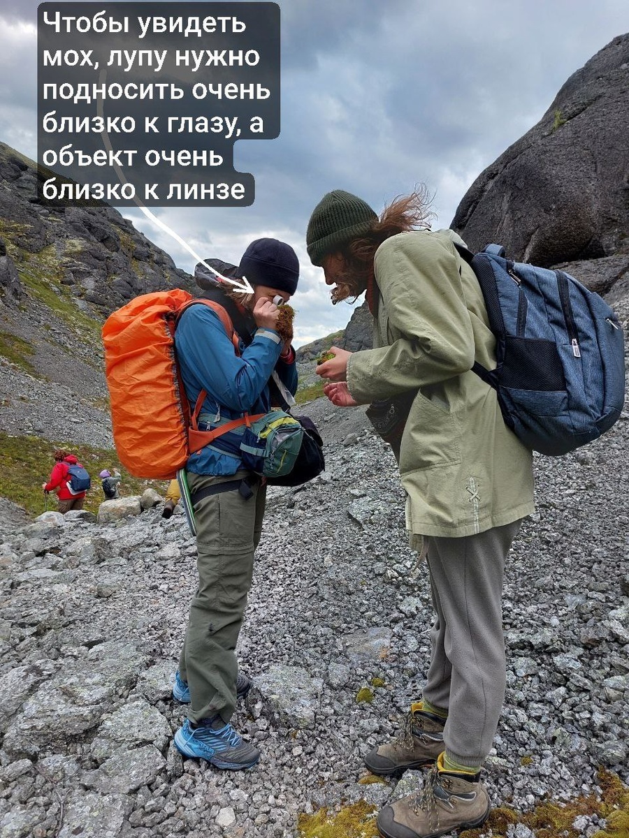 Фото А. Каратшевой. Лупа - обязательный инструмент бриолога