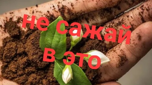 Лучший грунт для цветов 💐