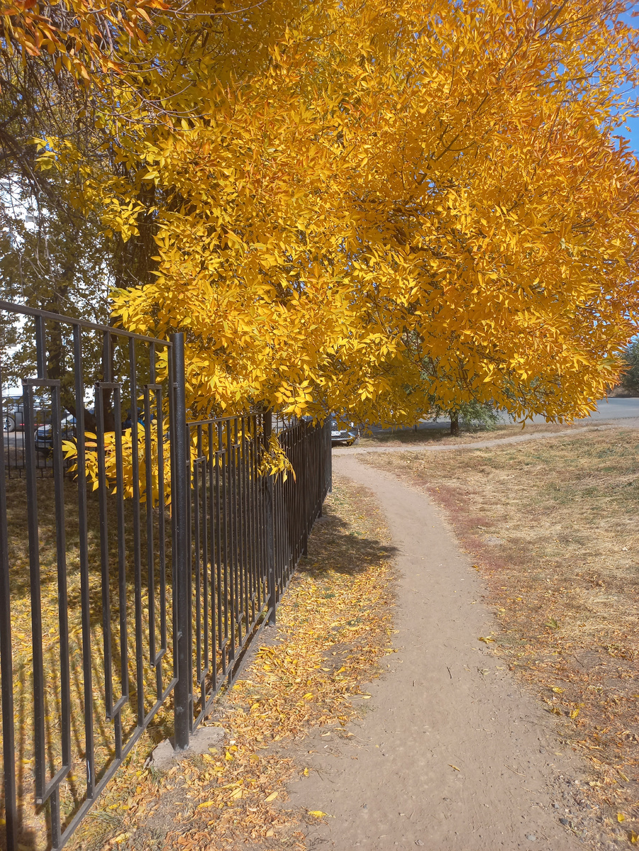 Чудесная тропинка