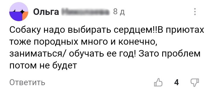Скриншот комментария под статьей "Про выбор породы" кинолога Насти Бобковой
