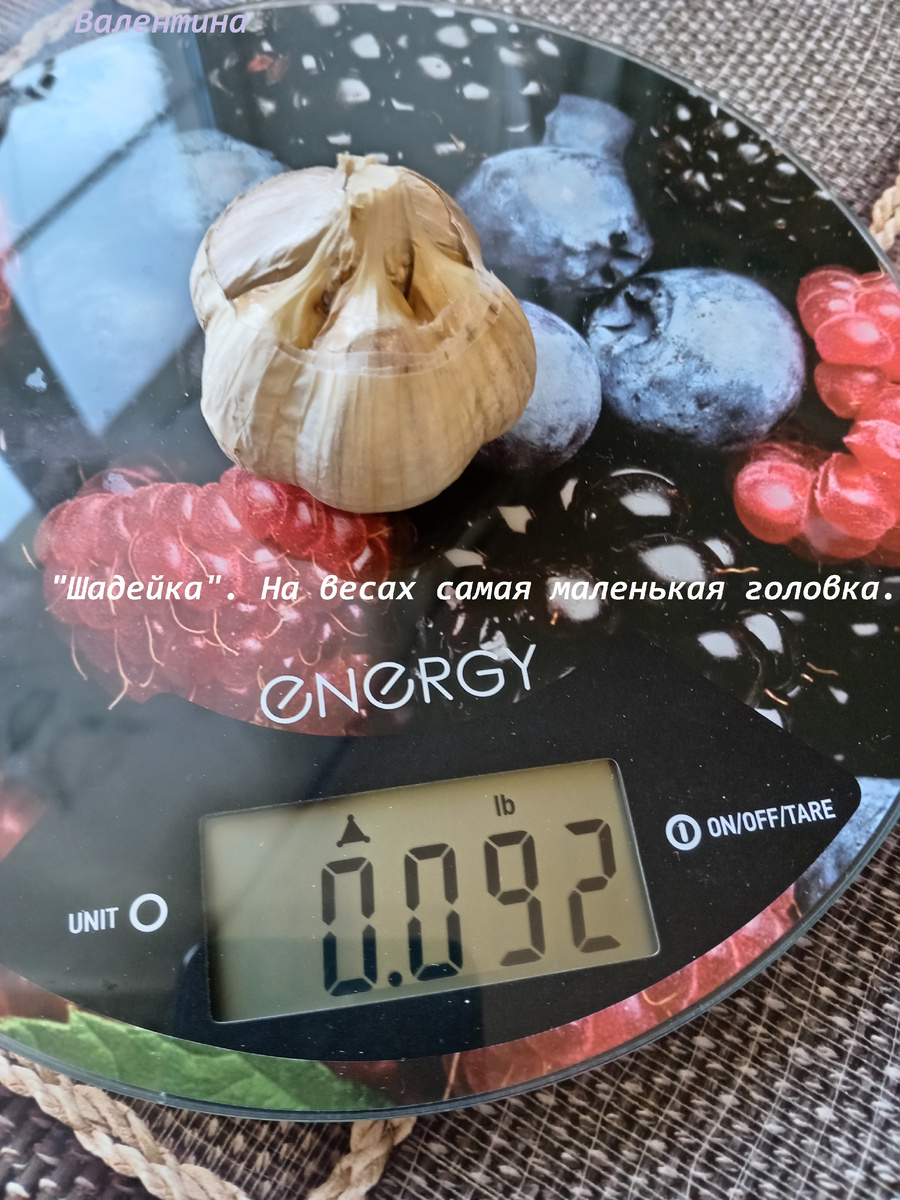 Это самая маленькая луковица "Шадейки".