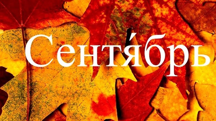 Фото взято из открытого источника