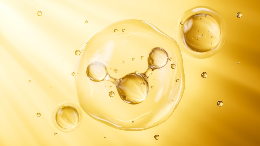    Фото: Shutterstock