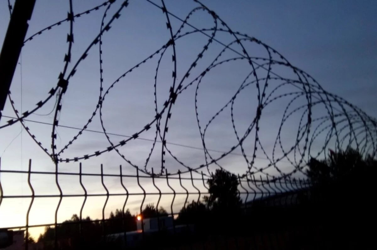    Россиянин, спасенный из рабства на ферме под Тулой, пытался сбежать сам