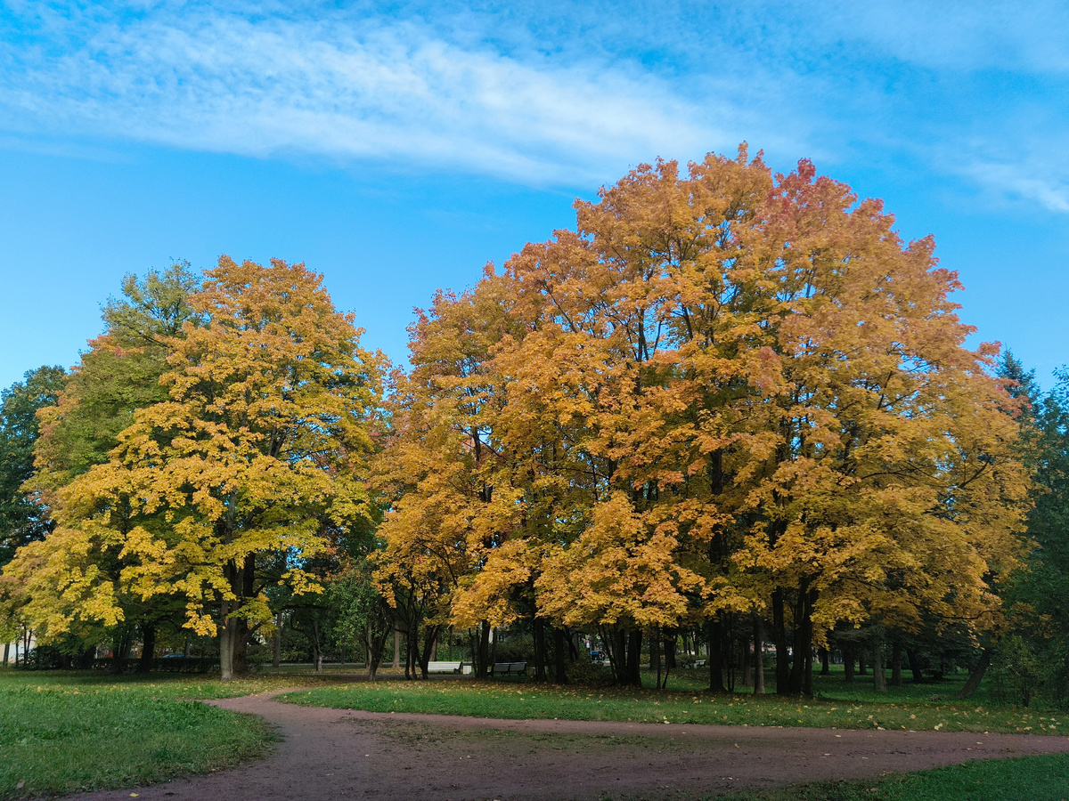 В каком-то дворе