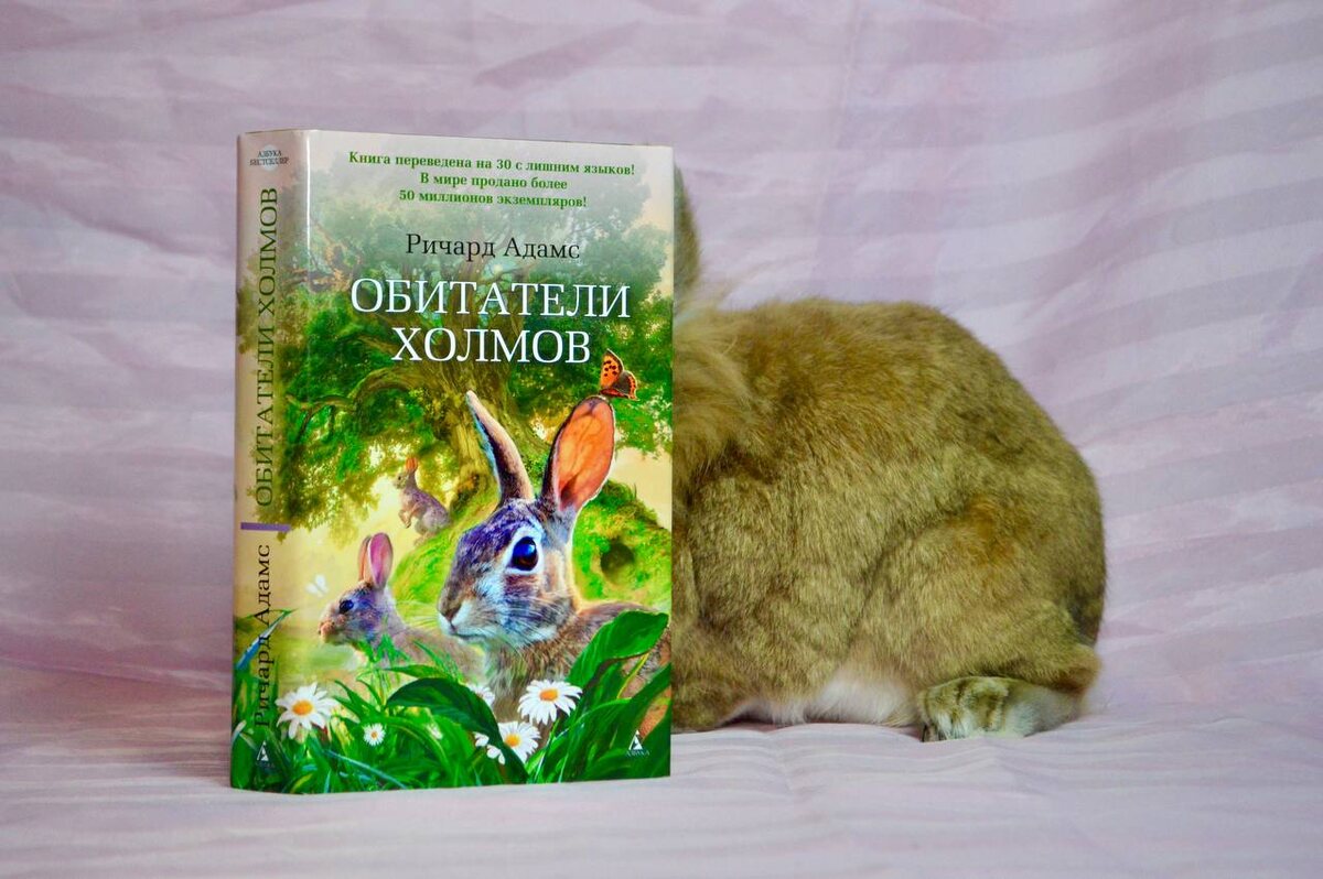 Какие путешествия, куда? Я хочу оставаться дома, под пледом и с сеном!