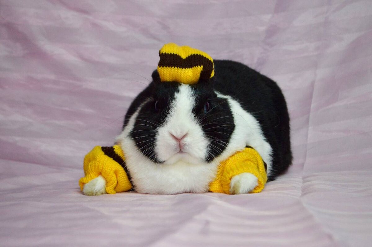 Я никуда не поеду без моих спасательных нарукавников и шлема! Безопасность - превыше всего!