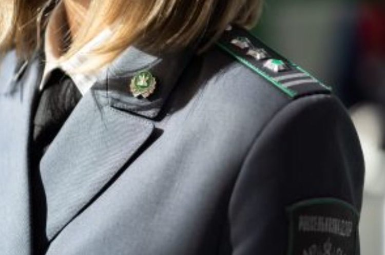    Впервые в Приморье установили карантинную зону по картофельной коровке