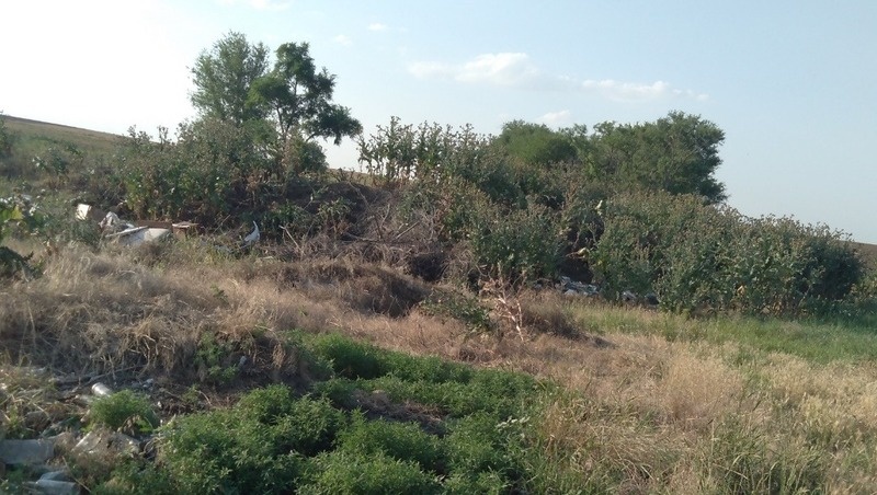      Фото: пресс-служба Северо-Кавказского межрегионального управления Россельхознадзора