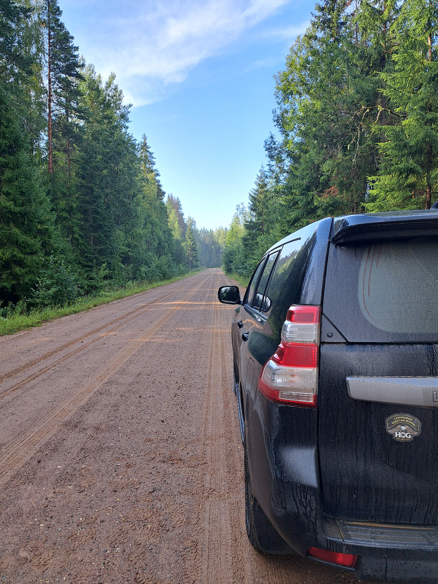 Можете оставить свой авто на дороге или свернуть в лес. 