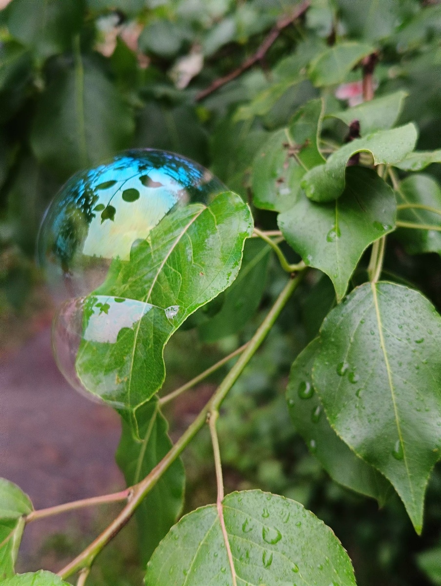 Вода может быть разной
