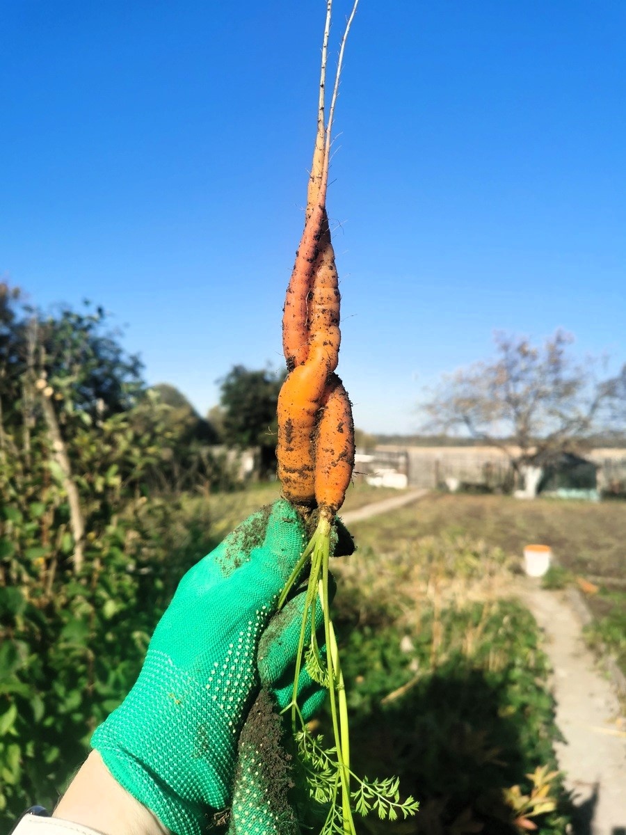 Автор фотографии - моя читательница Вера Титова