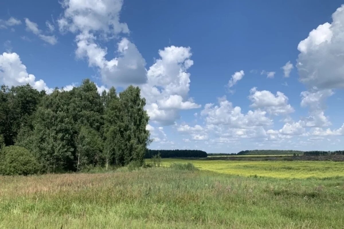    Арендная плата за земельные участки изменилась в Петрозаводске