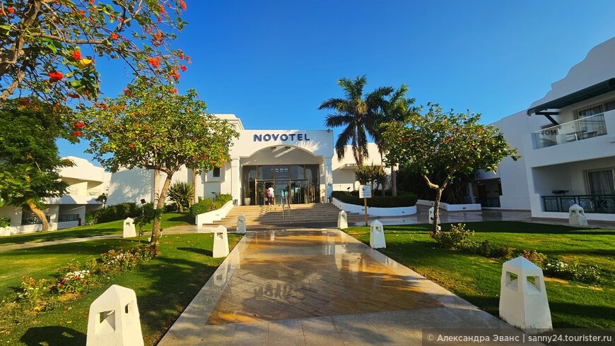 © Александра Эванс