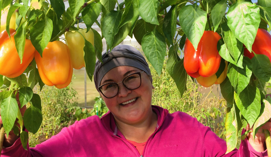 Лучшие сорта перца, которые я выращивала: подборка любимчиков для Сибирских условий