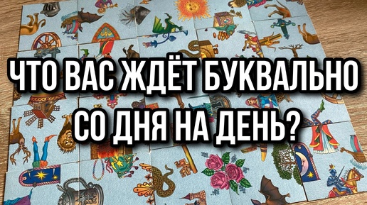 ЧТО ВАС ЖДЕТ БУКВАЛЬНО СО ДНЯ НА ДЕНЬ⁉️🍁 гадание пасьянс Tarot Reading