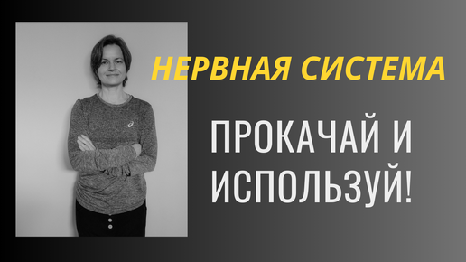 Как тренировать нервную систему, чтобы стать выносливым, сильным и быстрым