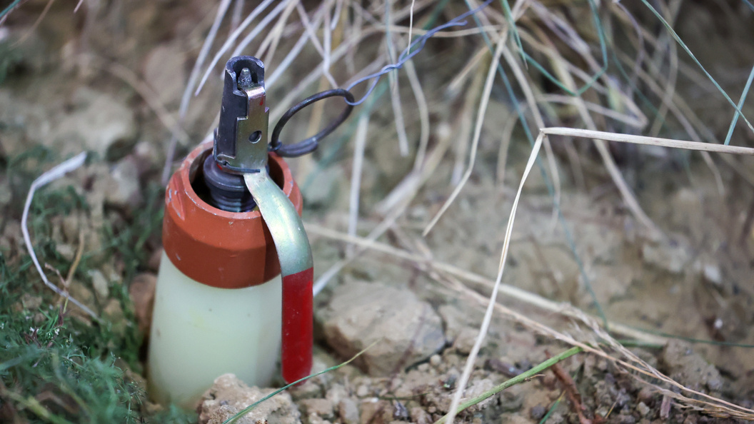    Фото: Belkin Alexey/news.ru