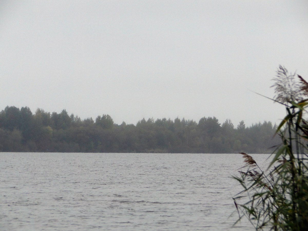 Промозглый октябрьский день и очень противное направление ветра... Отличное время, чтобы не сидеть дома, а ловить рыбу ))
