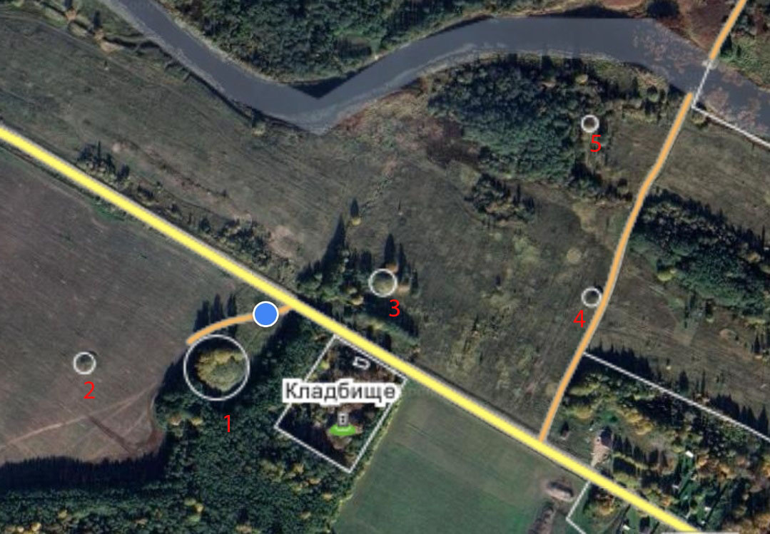 Комплекс сопок Передольского погоста. Между деревнями Подгорье и Заполье.