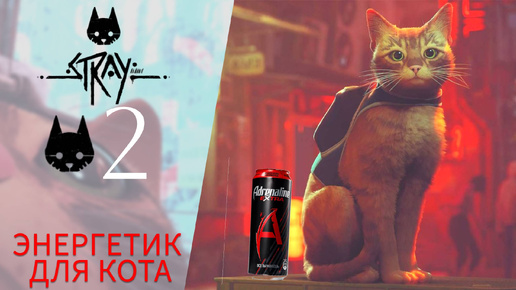 🍺 ЭНЕРГЕТИК ДЛЯ КОТА! - Прохождение Stray #2 - Комната управления (квартира), Трущобы