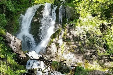 Фото из дзен