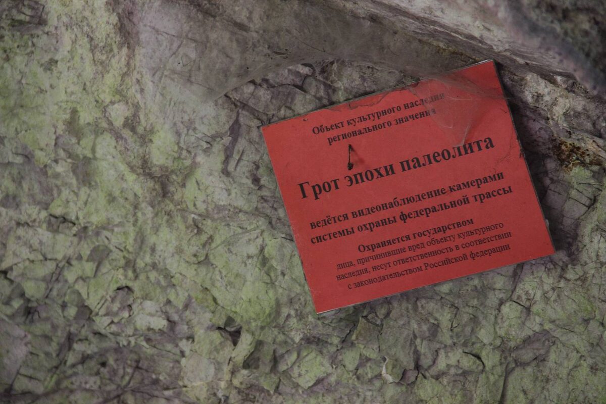    Фото: пресс-служба Сочинского национального парка