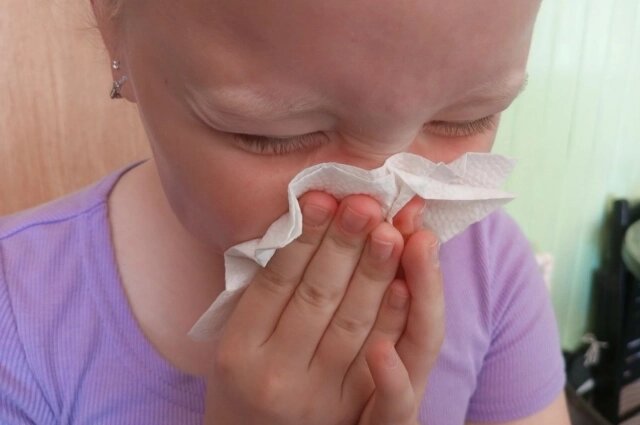    В Тюменской области больше тысячи учеников перевели на динстант из-за вспышки ОРВИ и гриппа. Фото:  АиФ/ Евгения Гаева