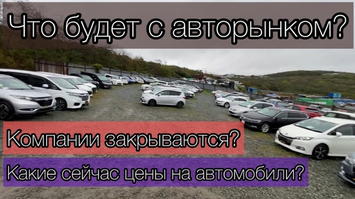 ЧТО БУДЕТ С АВТОРЫНКОМ❓/ КОМПАНИИ ЗАКРЫВАЮТСЯ ❓/ КАКИЕ СЕЙЧАС ЦЕНЫ НА АВТОМОБИЛИ ❓