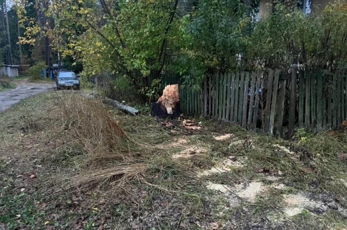    В Тверской области пьяный водитель врезался в дерево на мотоцикле