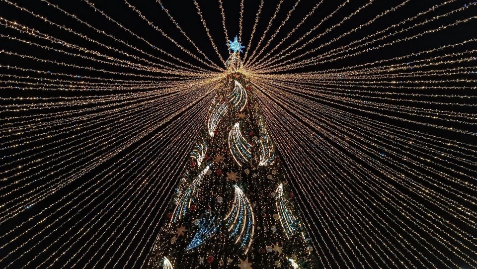    Фото: Елена Зябкина