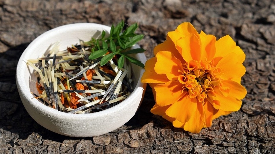 ShutterStock/Fotodom.ru 