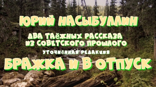 Юрий Насыбуллин _Бражка_ и _В отпуск_ уточнённая редакция двух рассказов Читает Марина Багинская.