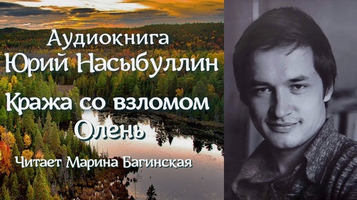 Аудиокнига Юрий Насыбуллин _Кража со взломом_, _Олень_ уточнённая редакция Читает М.Багинская.