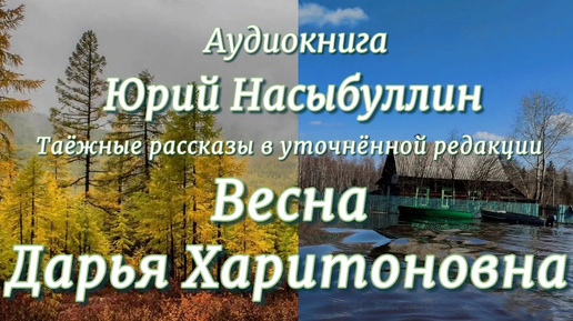 Юрий Насыбуллин _Весна_ и _Дарья Харитоновна_ уточнённая редакция Читает Марина Багинская.