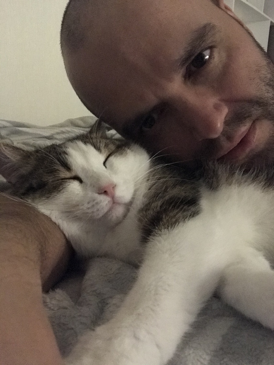 Кота, кстати, зовут Сырок