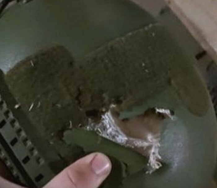 Источник фото: Телеграм-канал Дельнова