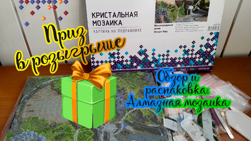 Получила приз в розыгрыше🎁☺️ Обзор и распаковка набора Фрея. Алмазная мозаика (кристальная мозаика) (видео за 26.03.24)