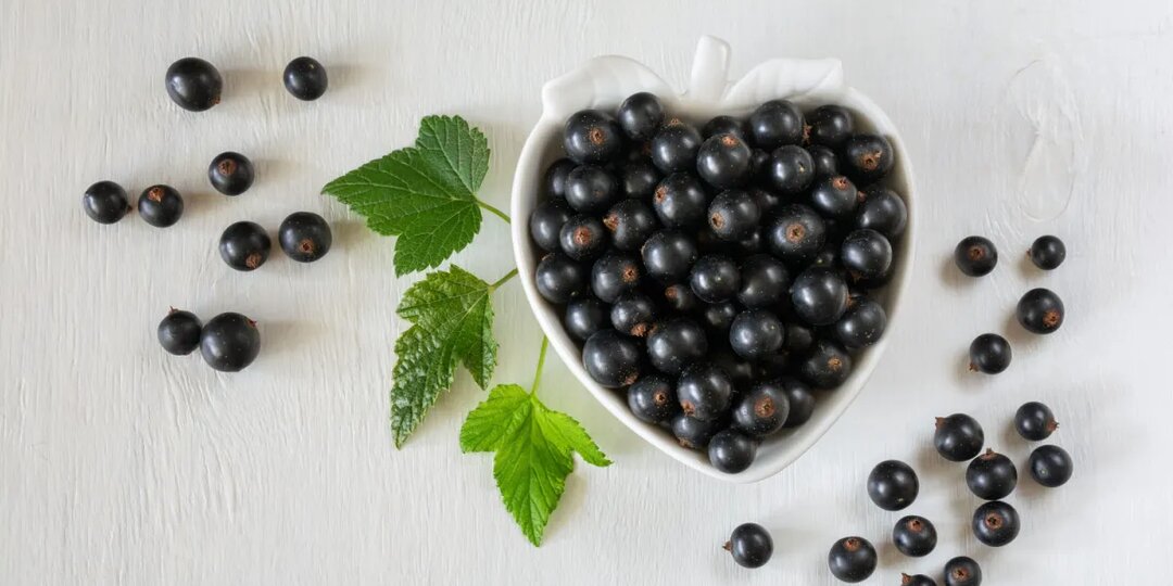 Тройная защита: врач Малышева назвала ягоду с самыми мощными «антираковыми» свойствами — читать на Gastronom.ru