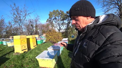 ОБЪЕДИНЯЮ ПОЙМАННЫЕ РОИ С ОСНОВНЫМИ ПЧЕЛОСЕМЬЯМИ ПО ПРИМОРОЗУ.