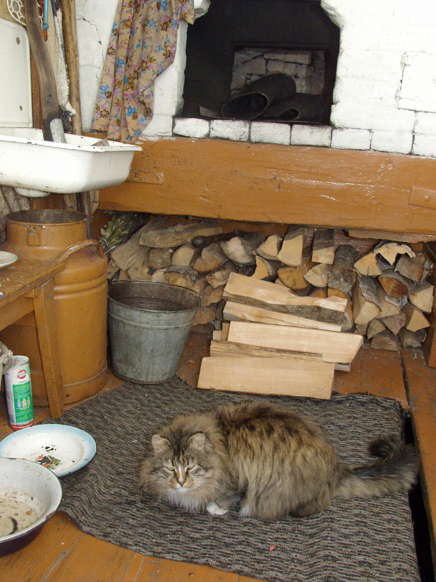 Eugeny Astashenkov/Russian Look/Global Look Press