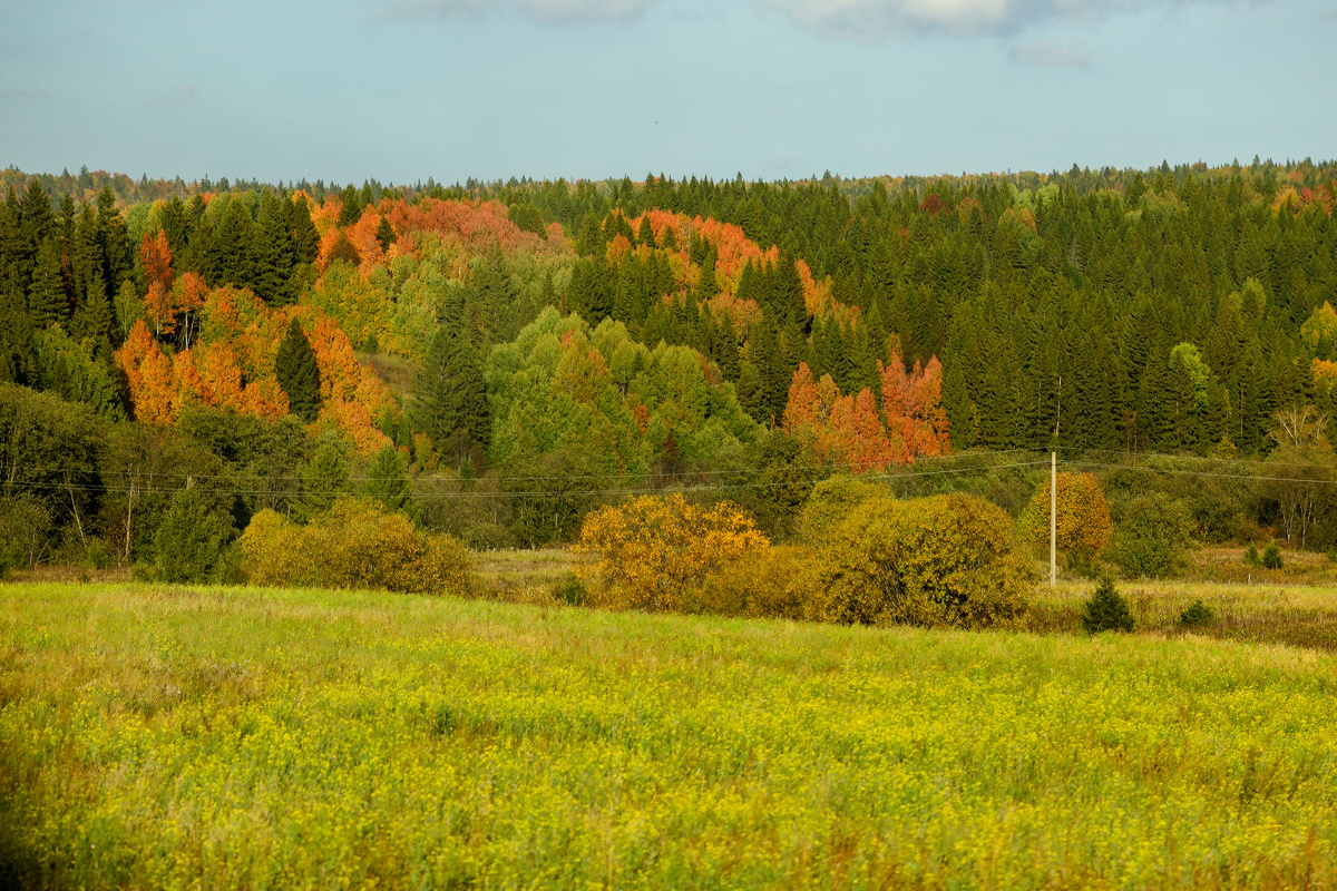 Elena Mayorova/Global Look Press