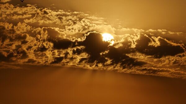    © Sputnik / Алексей Даничев