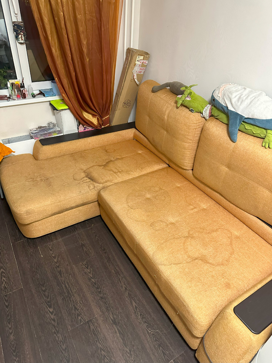 Диван кинолога