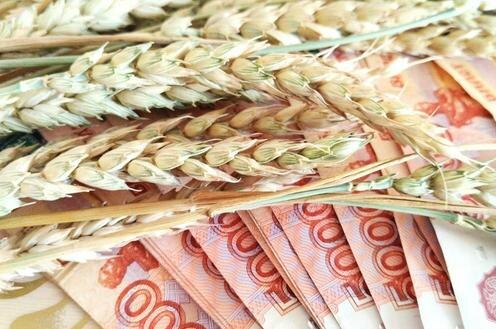 Фото с сайта apk-news.kz