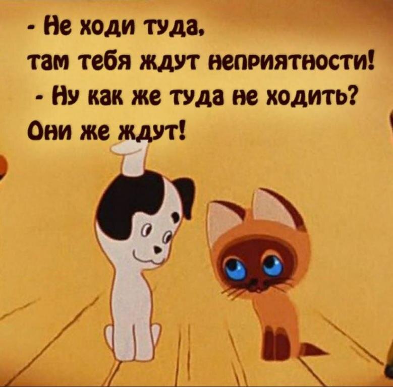 источник Яндекс-картинки