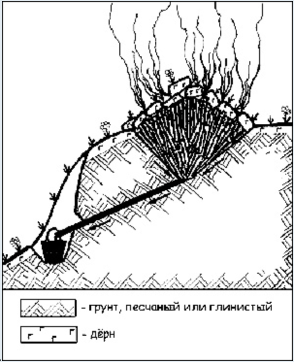 http://sanatatur.ru/forum/viewtopic.php?f=9&t=27691