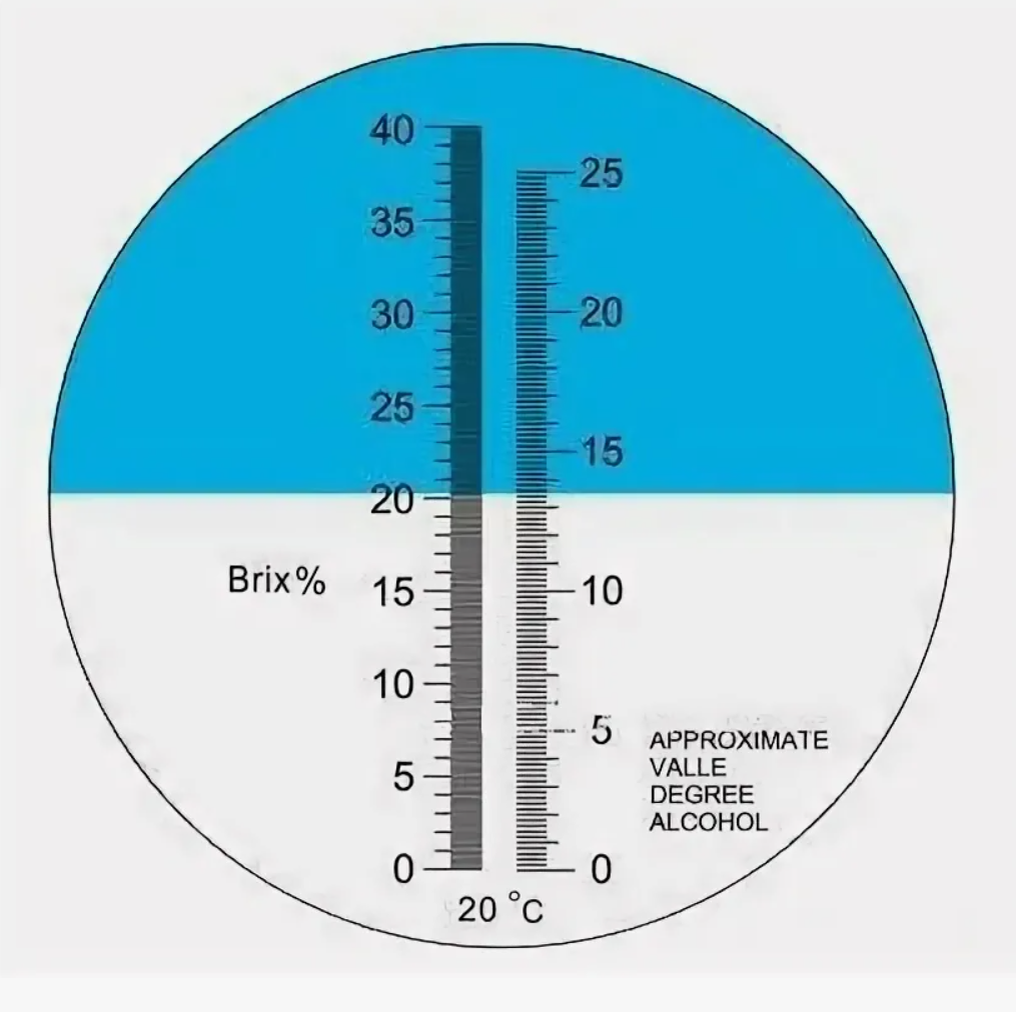 Шкала рефрактометра 